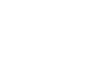 Thomas Nelson Bibles